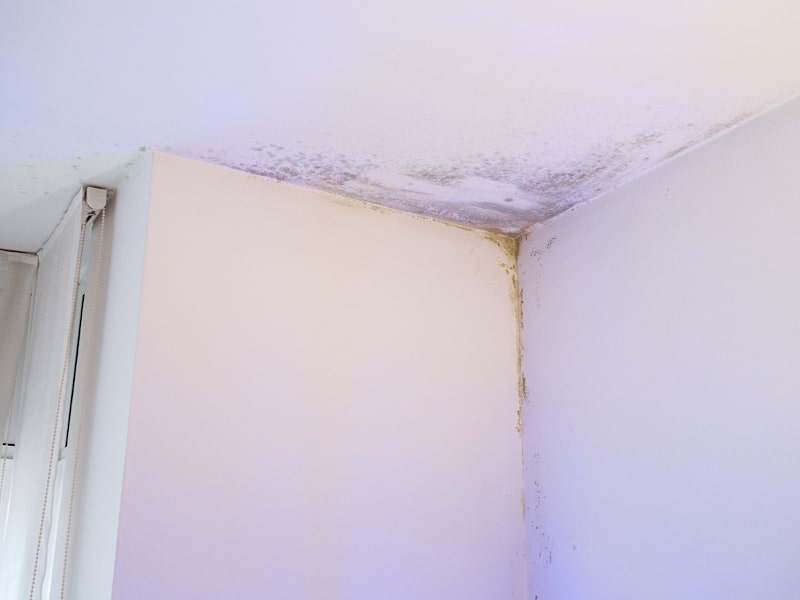 4 Signs of a Water Leak in Your Home